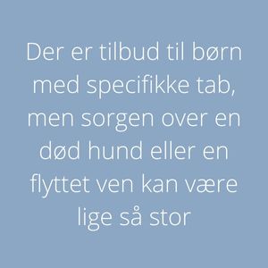Boks med teksten: "Der er tilbud til børn med specifikke tab, men sorgen over en død hund eller en flyttet ven kan være lige så stor."
